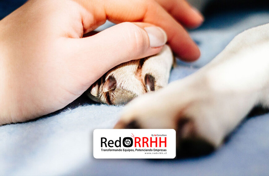 Blog – RED RRHH / Descubre las últimas noticias y actualizaciones 11 La propuesta, que ahora continúa su tramitación en el Senado, representa un avance pionero en Latinoamérica y abre un debate relevante para la gestión de personas, políticas de bienestar laboral y corresponsabilidad emocional dentro de las empresas.